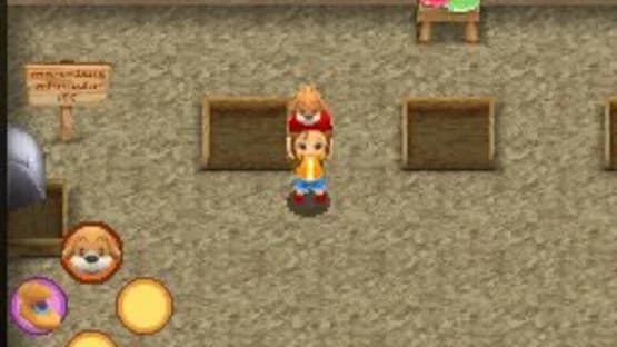 Harvest Moon DS: Sunshine Islands — Screenshoty