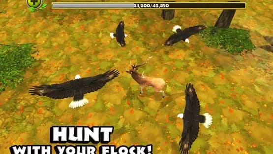 Eagle Simulator — Screenshots