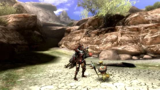 Monster Hunter Tri — Screenshoty