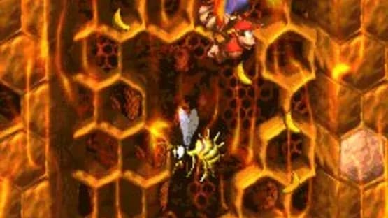 Donkey Kong Country 2: Diddy's Kong Quest — Screenshoty