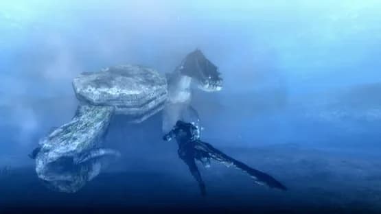 Monster Hunter Tri — Screenshoty