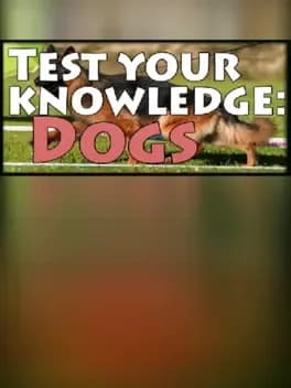 Test your knowledge: Dogs