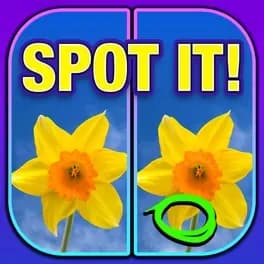 What's the Difference? Spot It