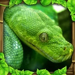 Snake Simulator
